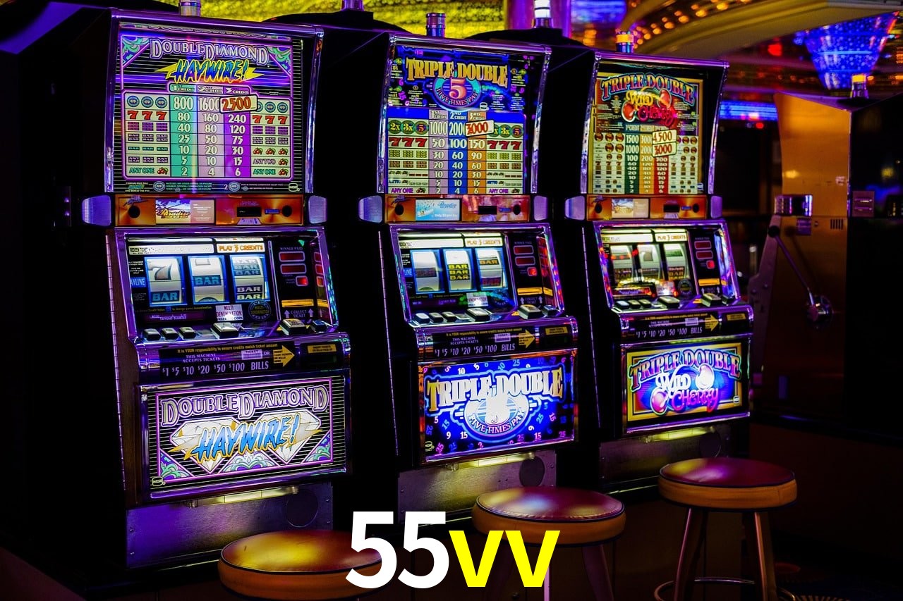 Programa VIP 55vv